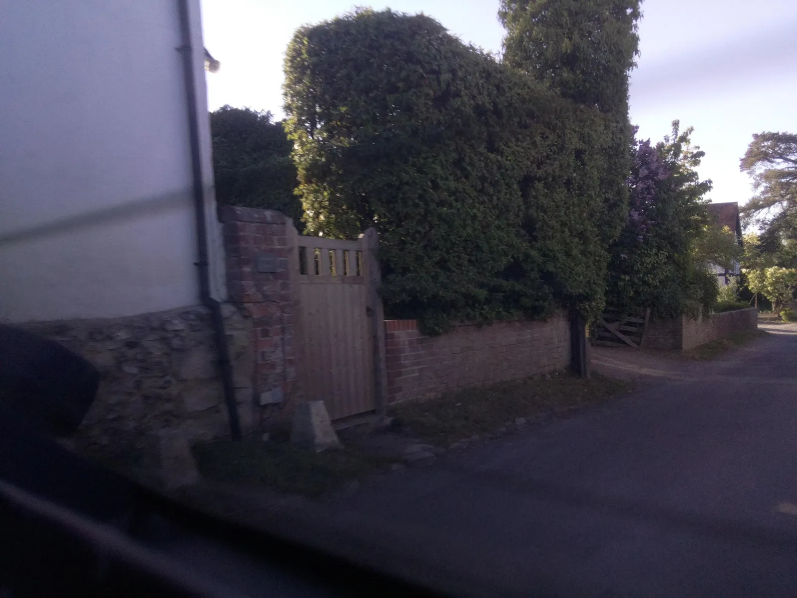 Bear at Home — street-level view