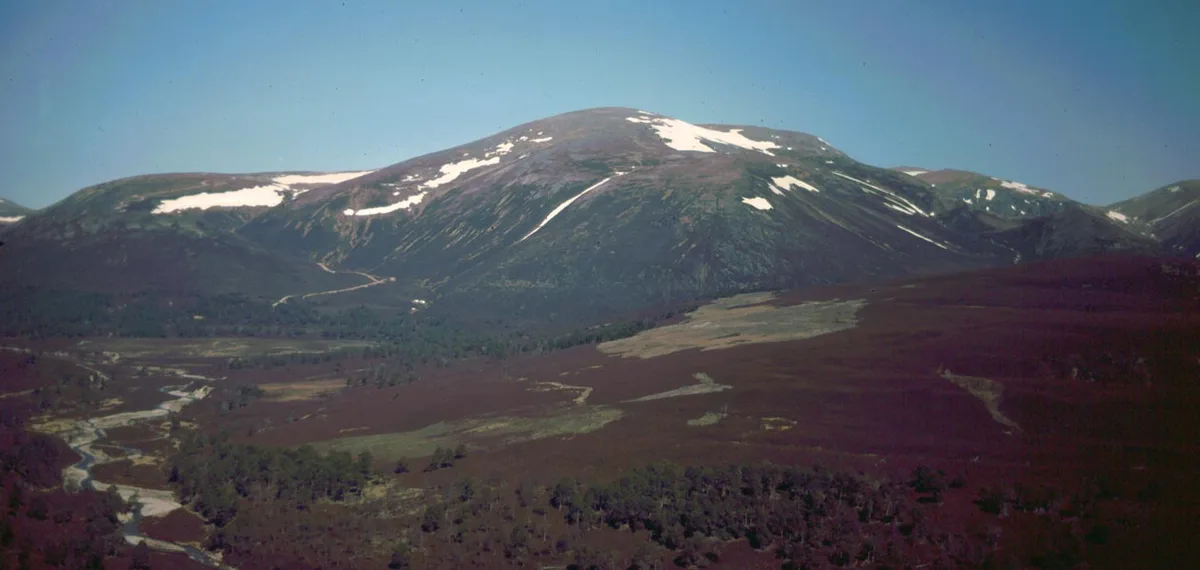 Beinn a' Bhùird North Top