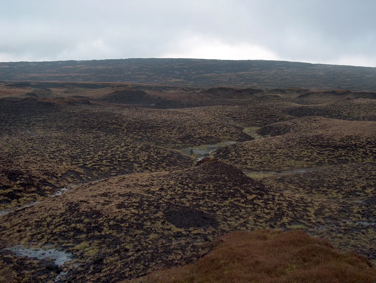 Bleaklow Head