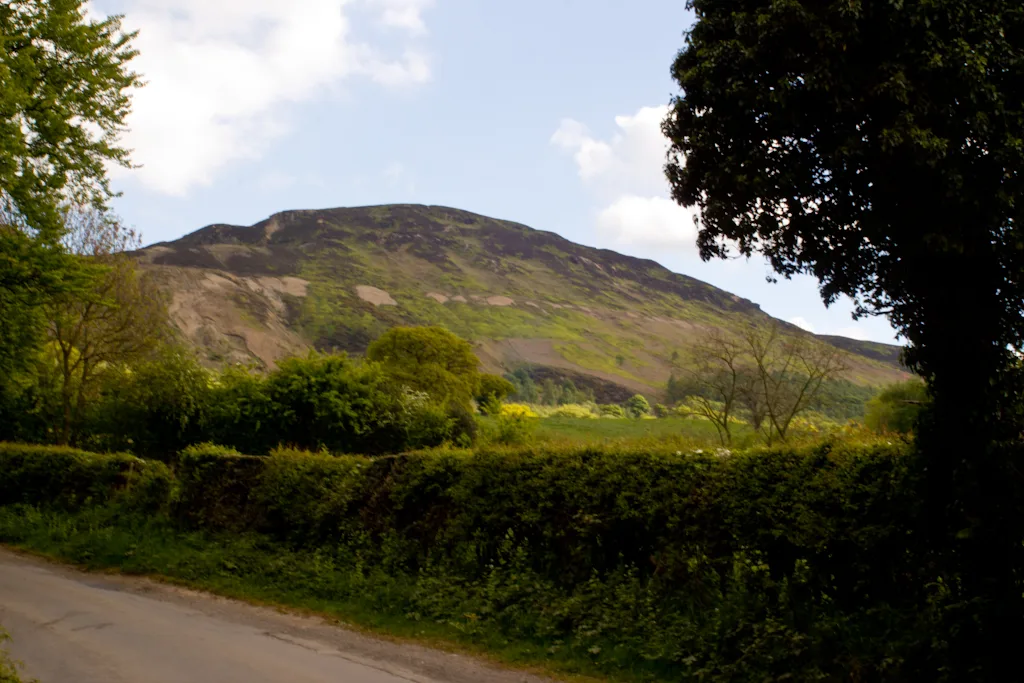 Carlton Bank