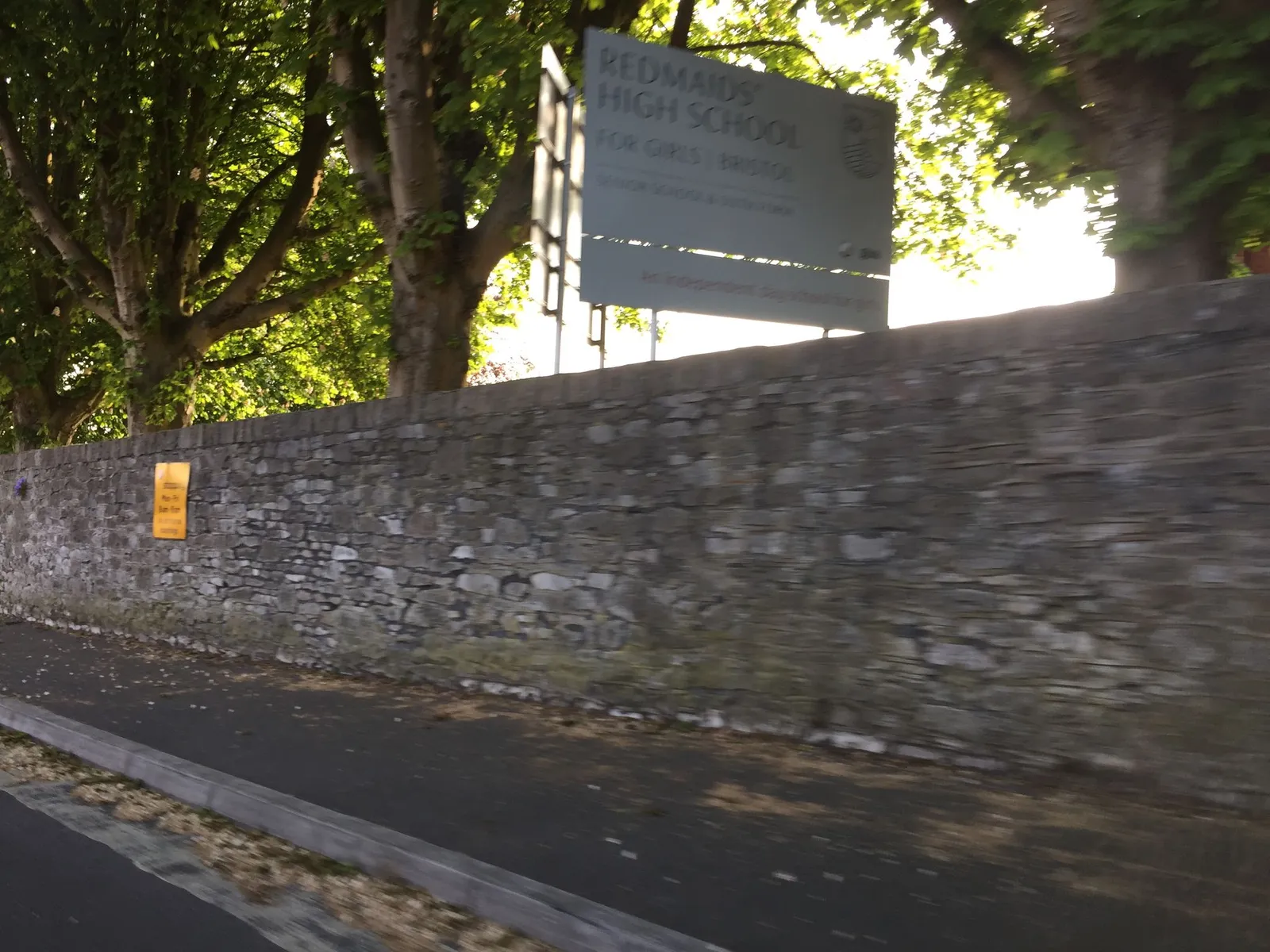 Ferndale Mews — street-level view