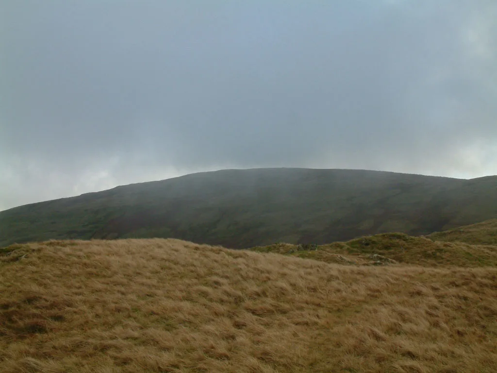 Grayrigg Forest