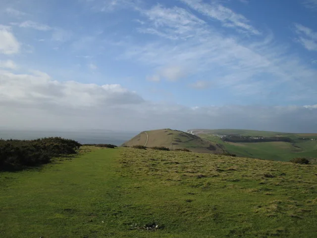 Hambury Tout