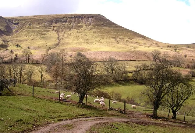 Lord Hereford's Knob