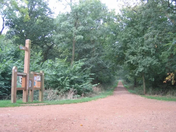 Maulden Wood
