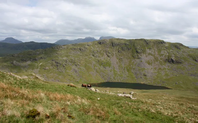 Middle Fell