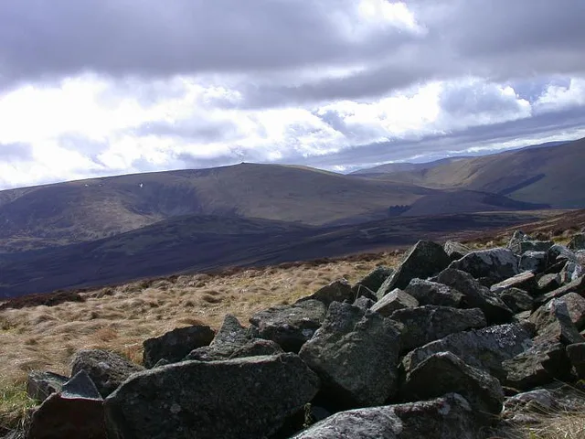 Newton Tors
