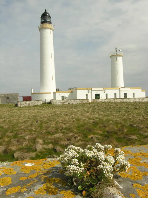 Pentland Skerries Low Light