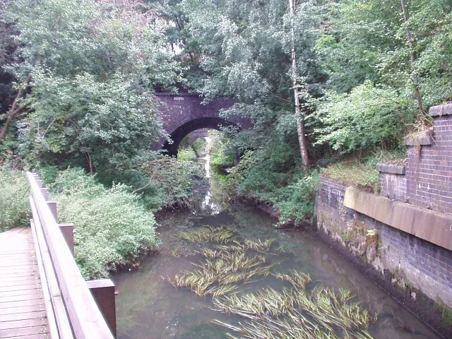 Potteric Carr Nature Reserve
