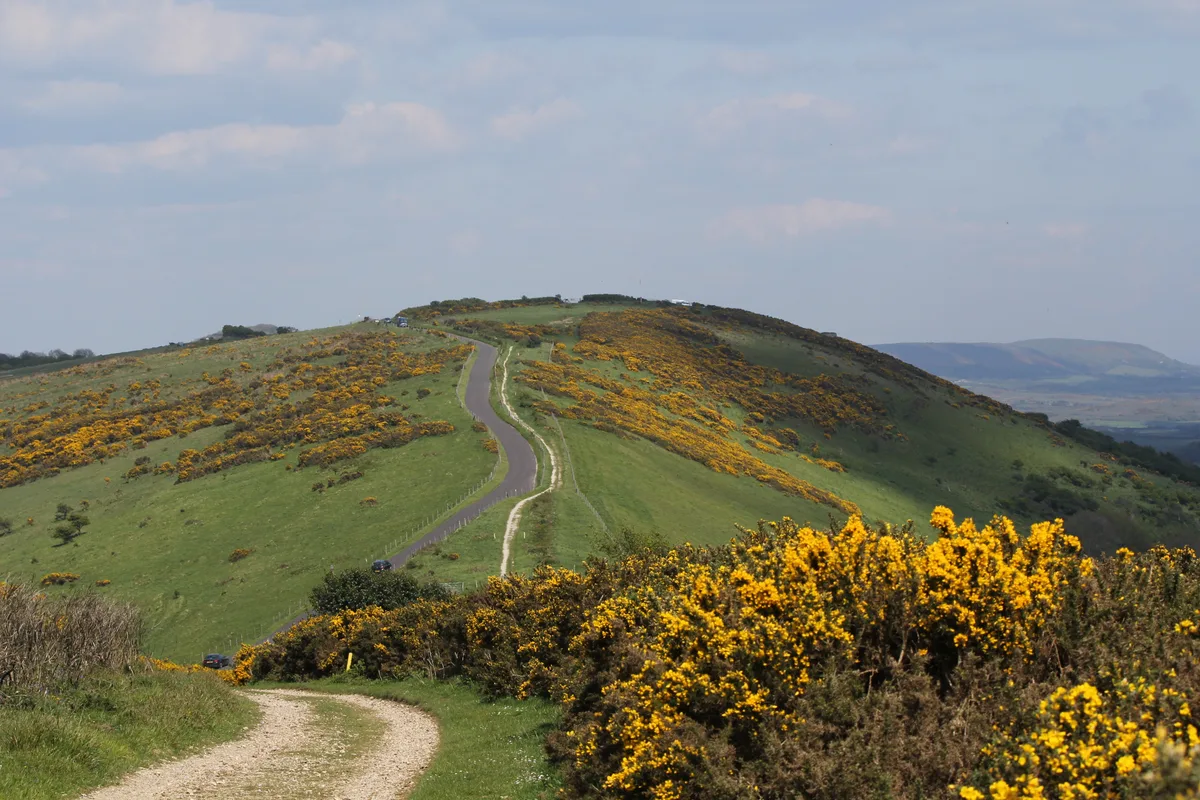 Povington Hill