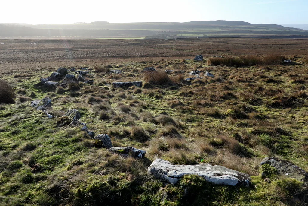Ring cairn and shieling immediately west of Chatley Crags