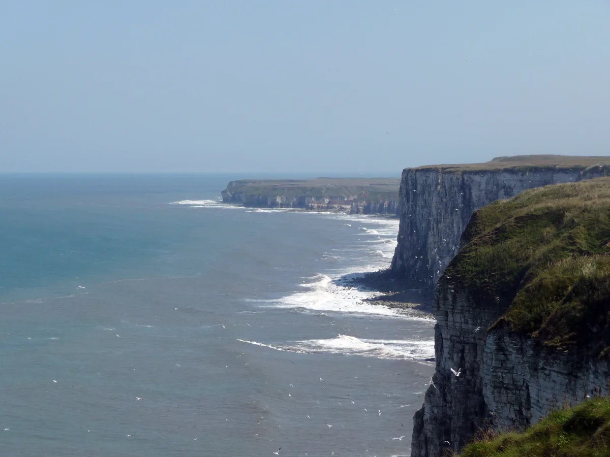 RSPB Bempton Cliffs