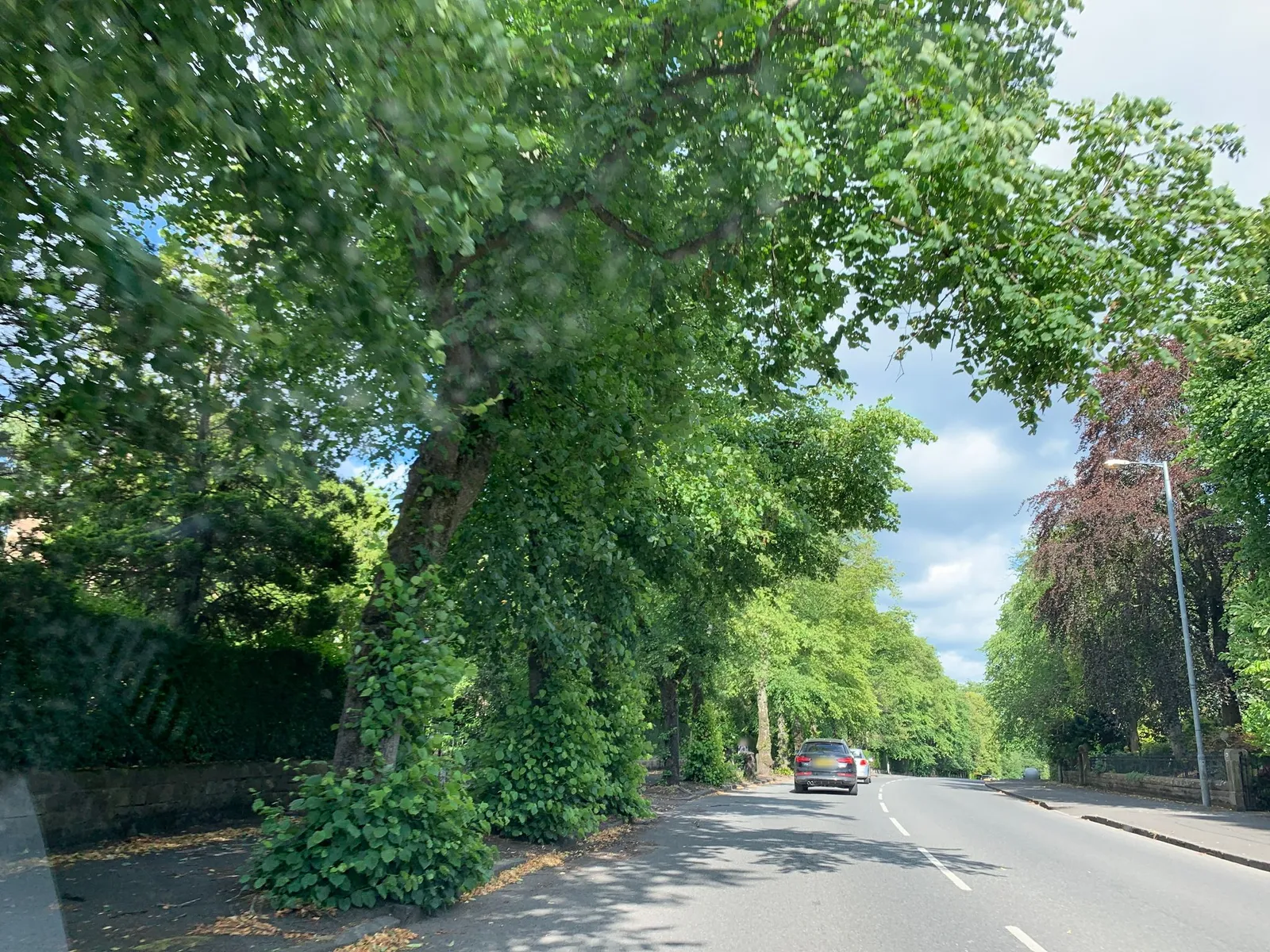 Sherbrooke Castle Hotel — street-level view