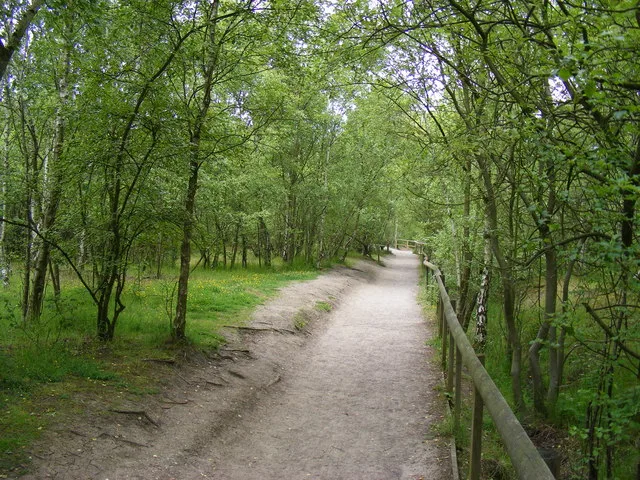 Shorne Woods Country Park
