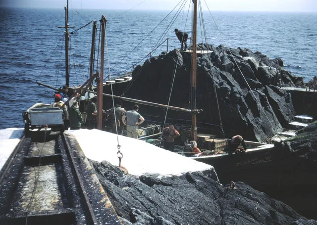 Sule Skerry