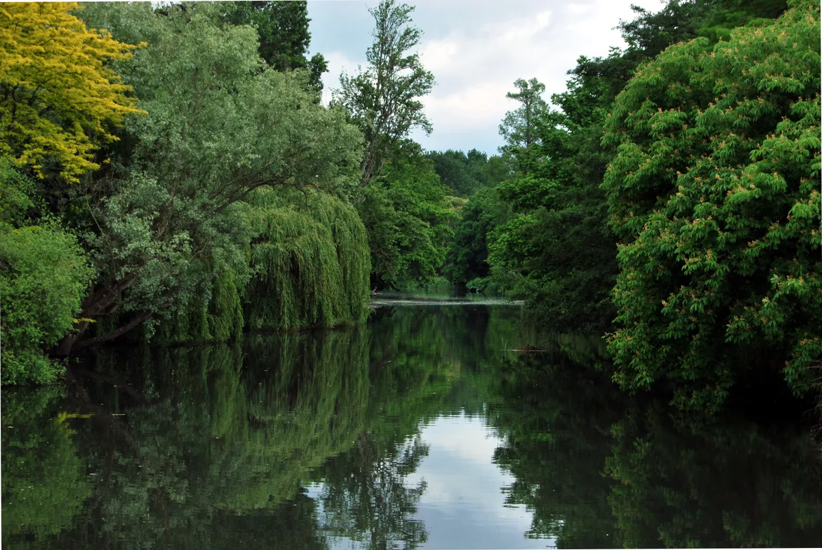 Syon Park