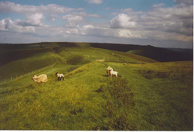 Tan Hill