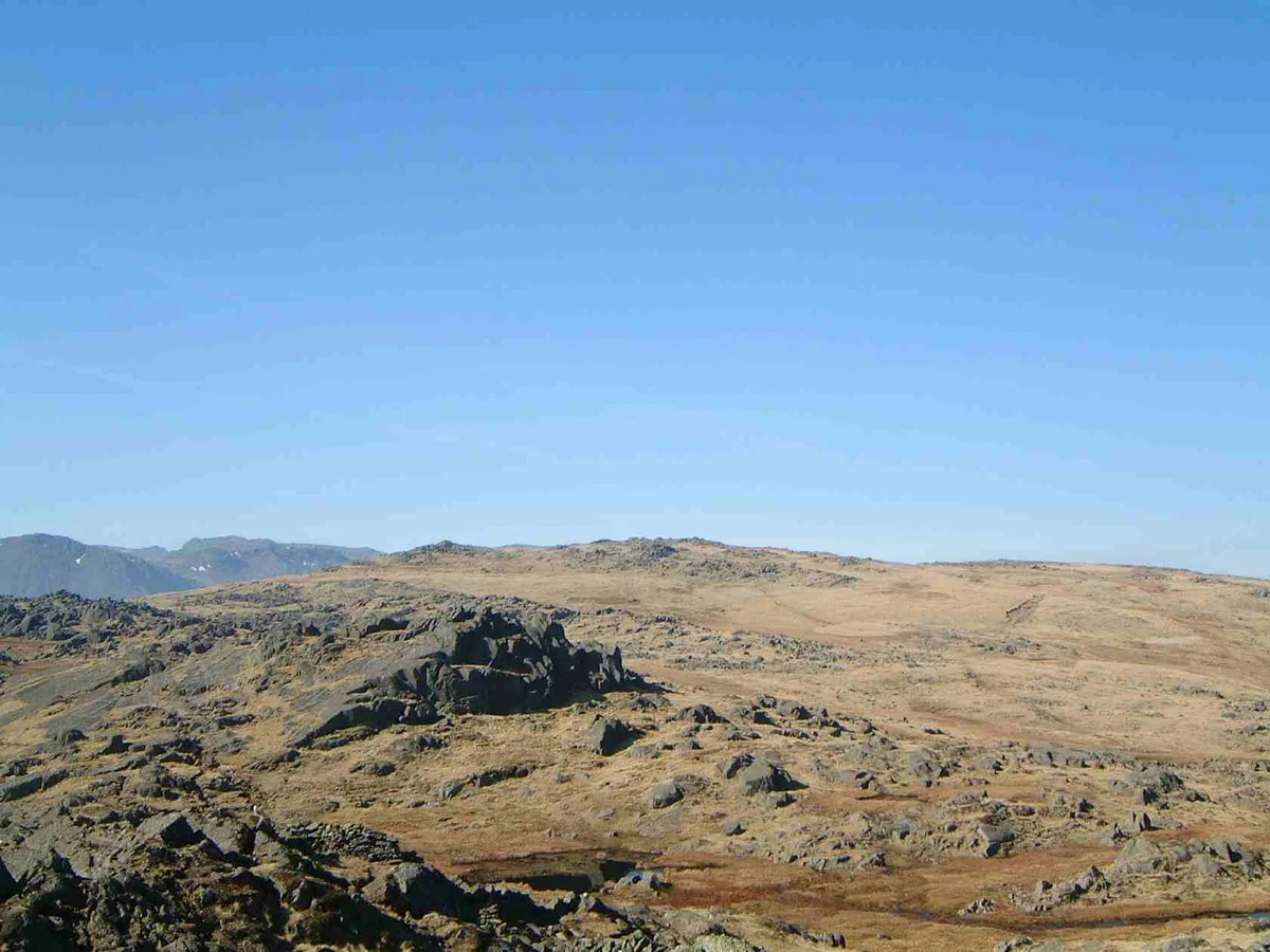 Thunacar Knott