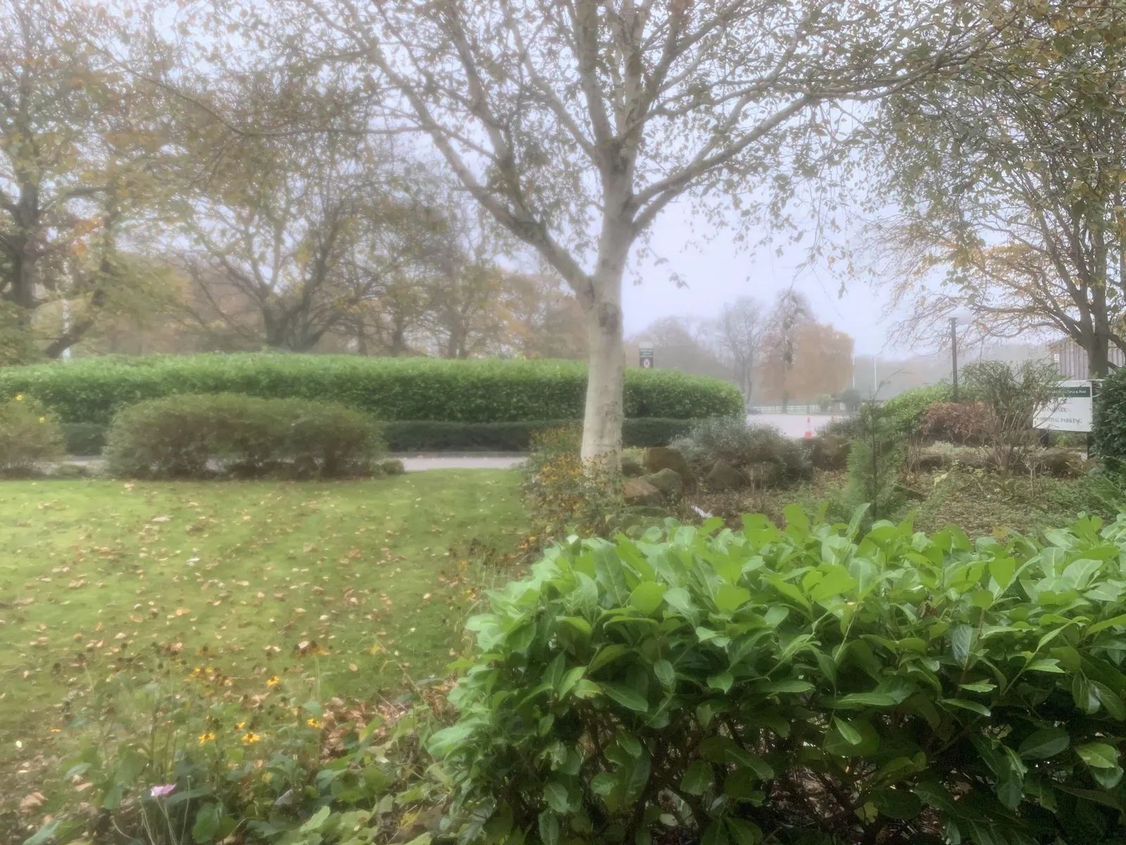 Weetwood Hall — street-level view