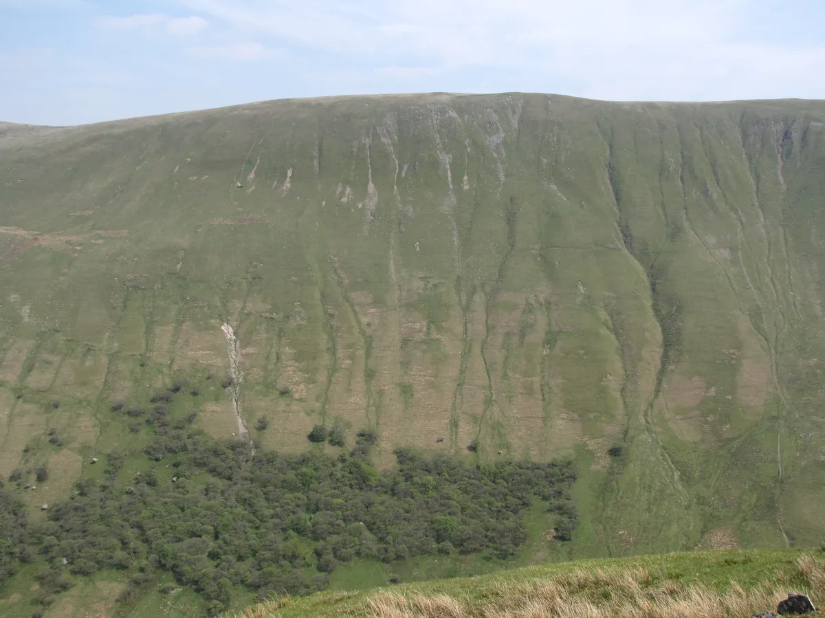 Wether Hill (Wainwright)