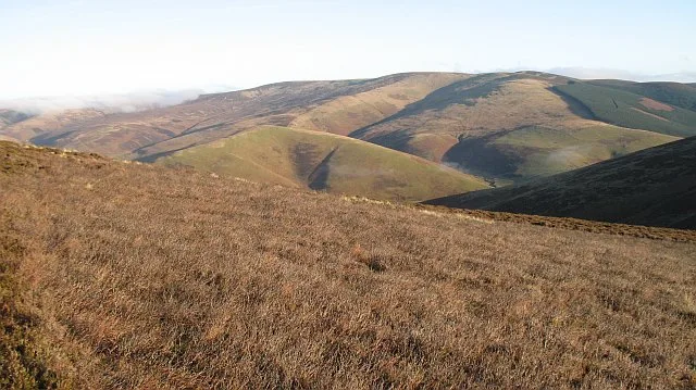 Windlestraw Law