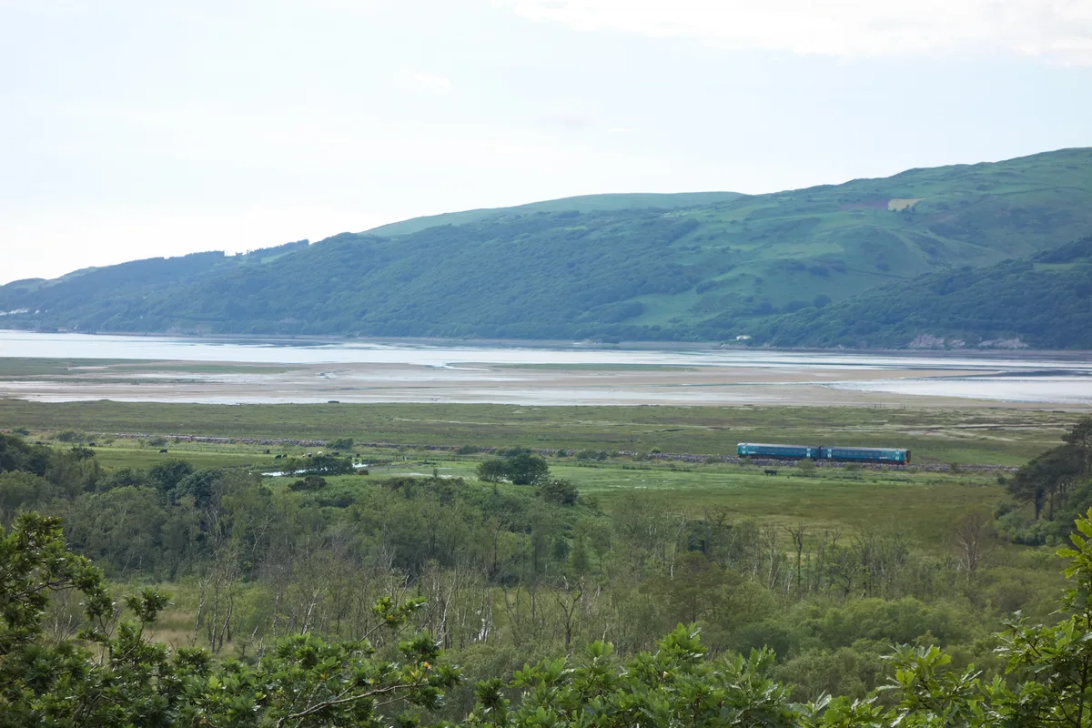Ynys-hir RSPB reserve